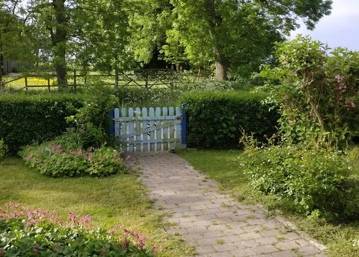 Nordwind Ferienhaus Dornum
